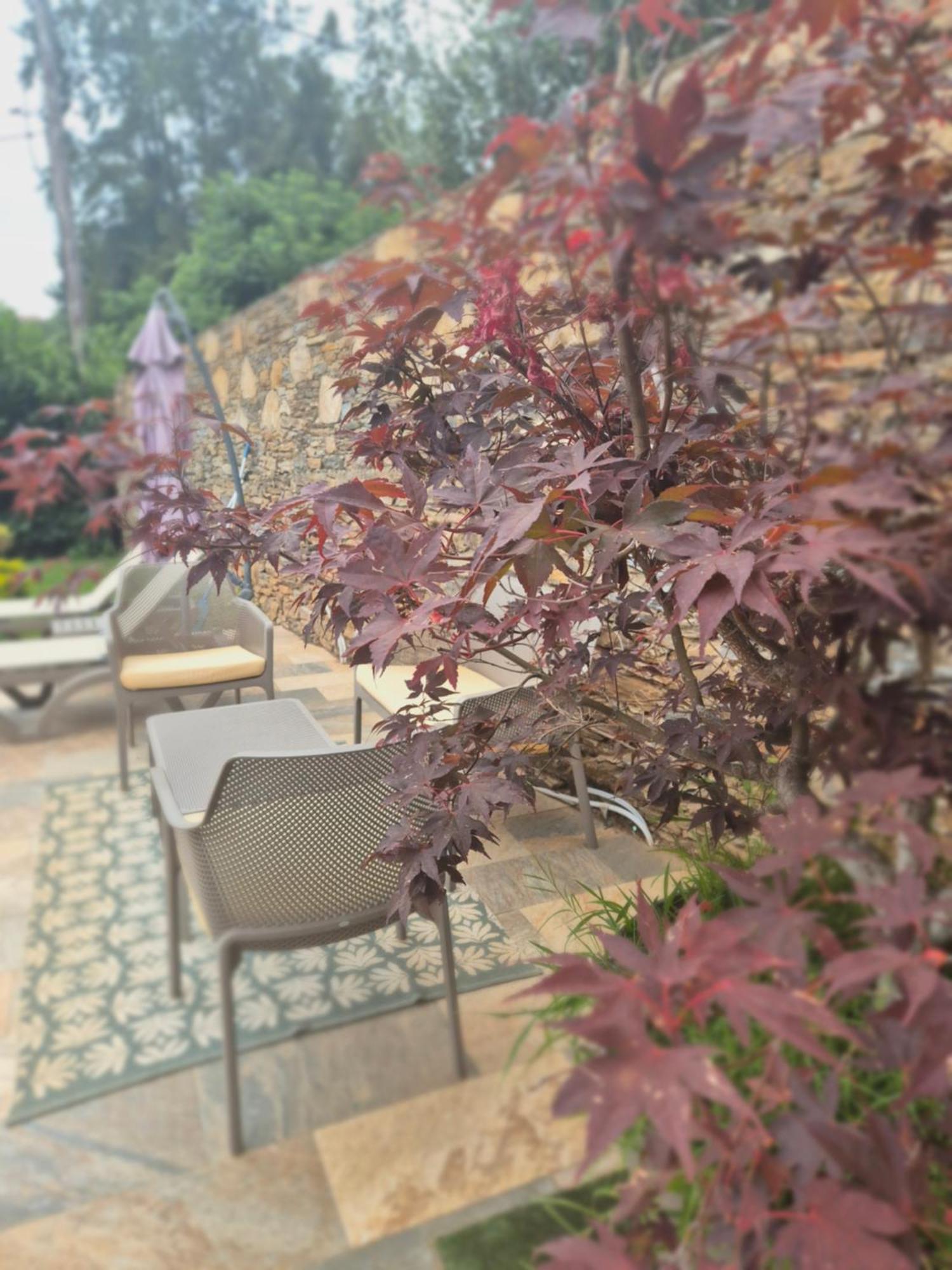 Rez De Villa Avec Piscine Privee, Wifi, Jardin Cloture Penta di Casinca Eksteriør bilde